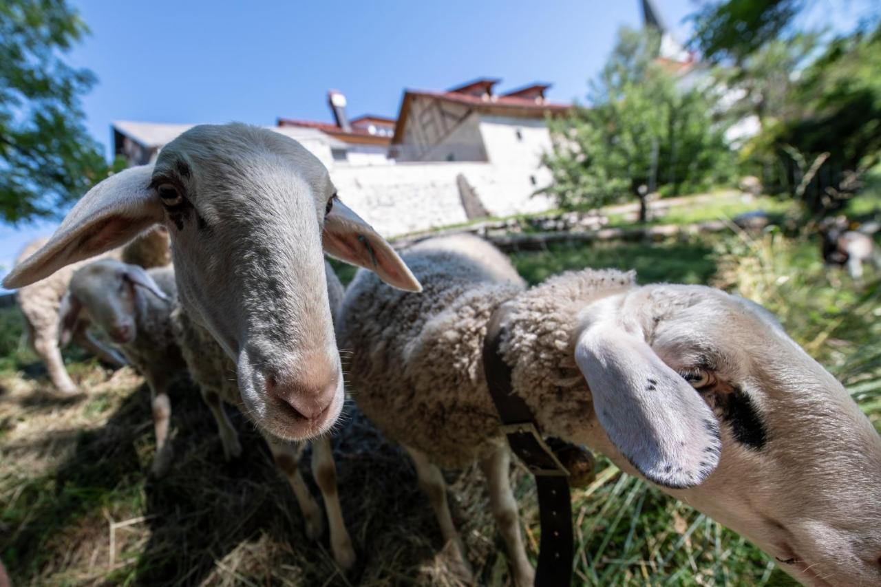 Meznarija Radovljica Daire Dış mekan fotoğraf